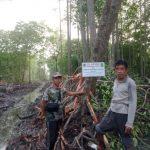 Hutan Mangrove Dirusak Untuk Tambak,Jelas Perbuatan Melawan Hukum APH Diminta Bertindak